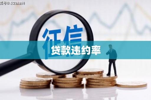 社头贷款违约率