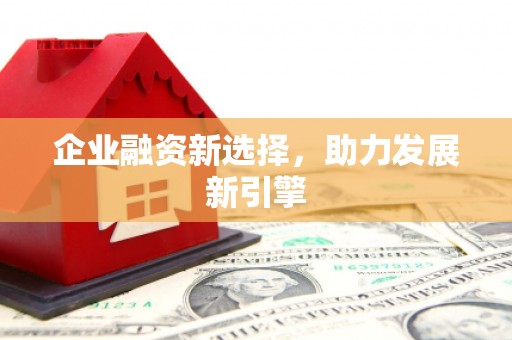 社头企业融资新选择，助力发展新引擎