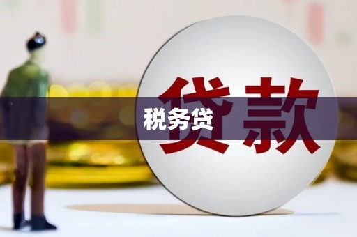 社头税务贷