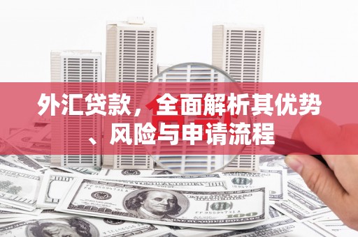 社头外汇贷款，全面解析其优势、风险与申请流程