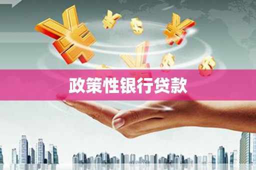 社头政策性银行贷款