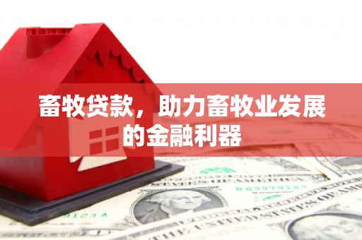社头畜牧贷款，助力畜牧业发展的金融利器