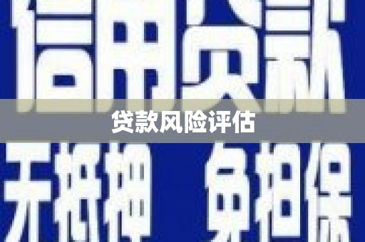 社头贷款风险评估