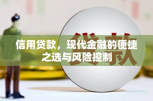 社头信用贷款，现代金融的便捷之选与风险控制