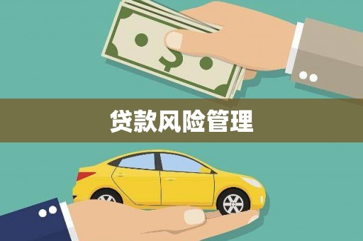 社头贷款风险管理