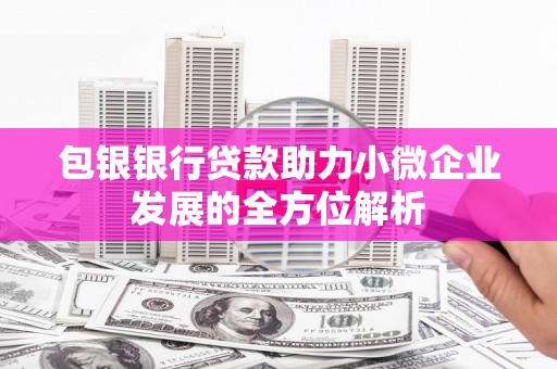 社头包银银行贷款助力小微企业发展的全方位解析
