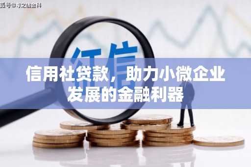 社头信用社贷款，助力小微企业发展的金融利器