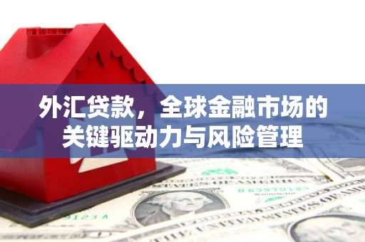 社头外汇贷款，全球金融市场的关键驱动力与风险管理