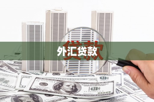 社头外汇贷款
