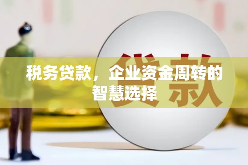社头税务贷款，企业资金周转的智慧选择