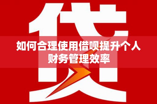 社头如何合理使用借呗提升个人财务管理效率