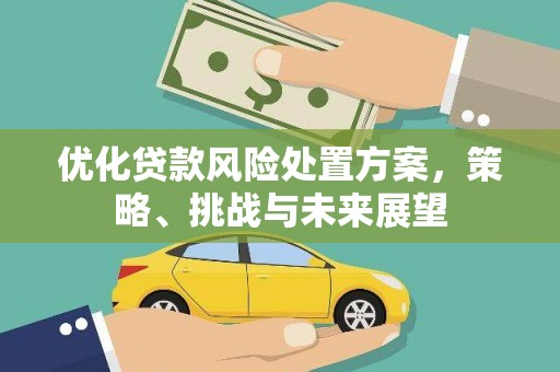 社头优化贷款风险处置方案，策略、挑战与未来展望