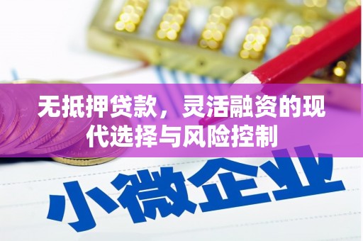 社头无抵押贷款，灵活融资的现代选择与风险控制