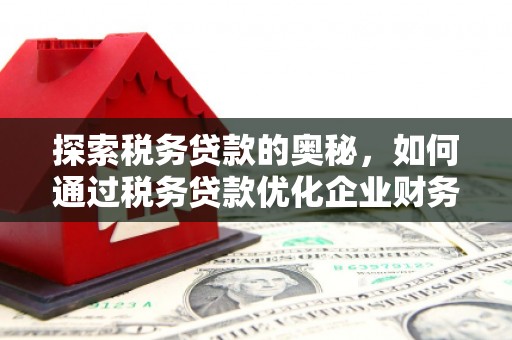社头探索税务贷款的奥秘，如何通过税务贷款优化企业财务