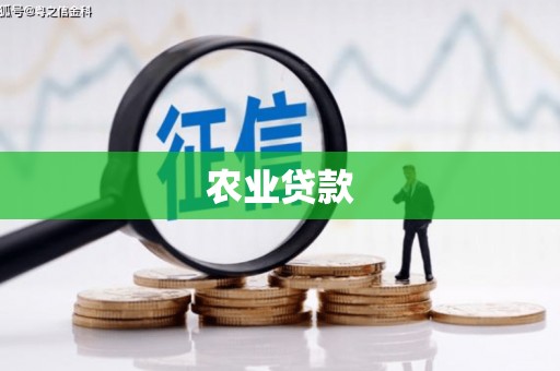 社头农业贷款