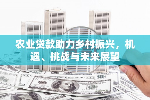 社头农业贷款助力乡村振兴，机遇、挑战与未来展望