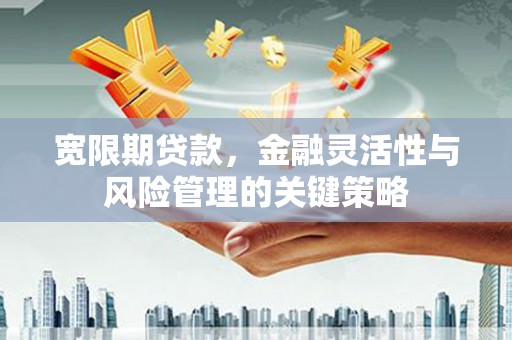 社头宽限期贷款，金融灵活性与风险管理的关键策略