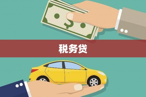 社头税务贷