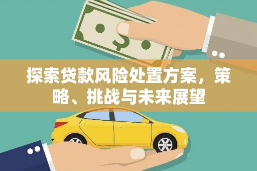 社头探索贷款风险处置方案，策略、挑战与未来展望