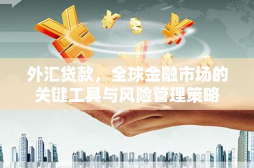社头外汇贷款，全球金融市场的关键工具与风险管理策略