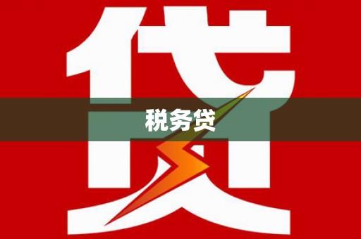 社头税务贷