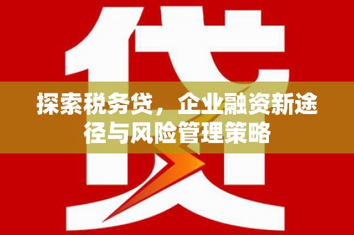 社头探索税务贷，企业融资新途径与风险管理策略