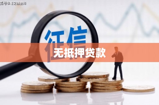 社头无抵押贷款
