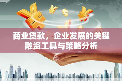 社头商业贷款，企业发展的关键融资工具与策略分析