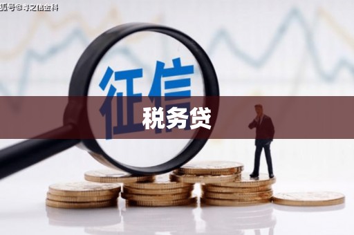 社头税务贷