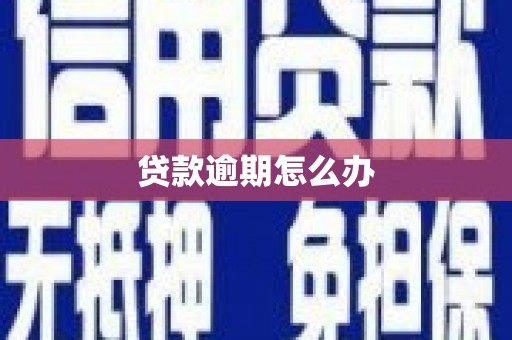 社头贷款逾期怎么办