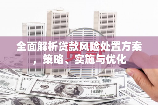 社头全面解析贷款风险处置方案，策略、实施与优化
