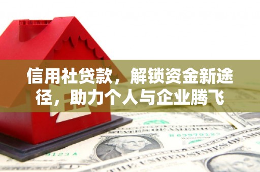 社头信用社贷款，解锁资金新途径，助力个人与企业腾飞