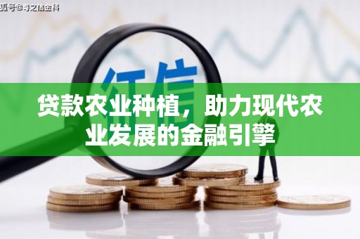 社头贷款农业种植，助力现代农业发展的金融引擎