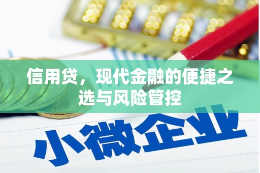 社头信用贷，现代金融的便捷之选与风险管控