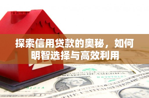 社头探索信用贷款的奥秘，如何明智选择与高效利用