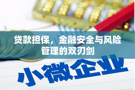 社头贷款担保，金融安全与风险管理的双刃剑