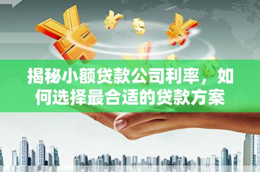 社头揭秘小额贷款公司利率，如何选择最合适的贷款方案