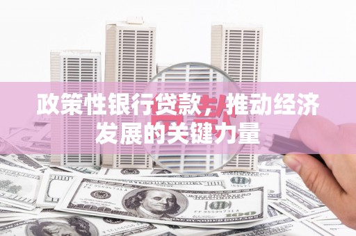 社头政策性银行贷款，推动经济发展的关键力量