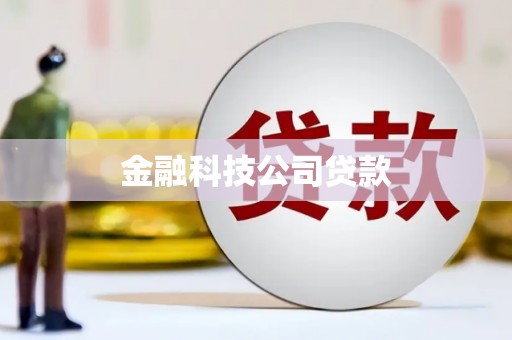 社头金融科技公司贷款