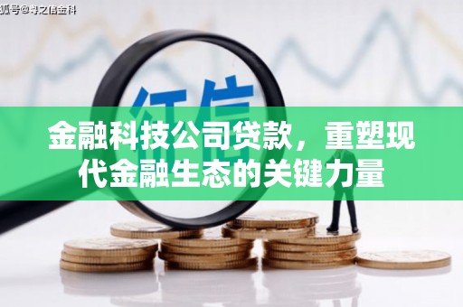 社头金融科技公司贷款，重塑现代金融生态的关键力量