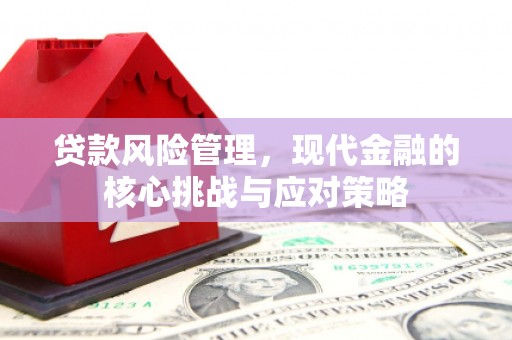 社头贷款风险管理，现代金融的核心挑战与应对策略