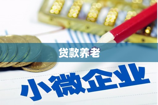 社头贷款养老