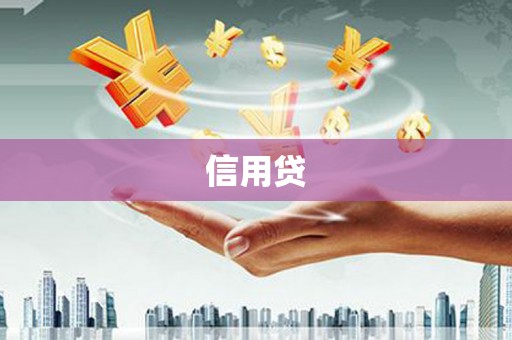 社头信用贷