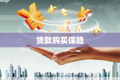 社头贷款购买保险