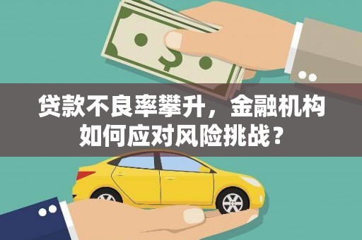 社头贷款不良率攀升，金融机构如何应对风险挑战？