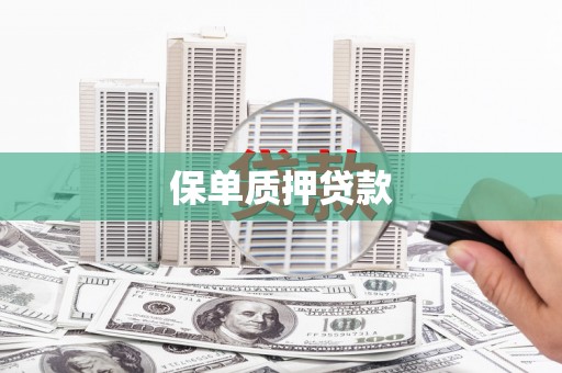 社头保单质押贷款