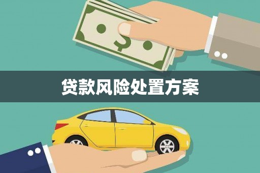 社头贷款风险处置方案