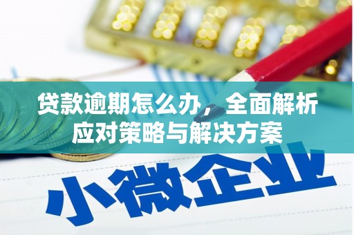 社头贷款逾期怎么办，全面解析应对策略与解决方案