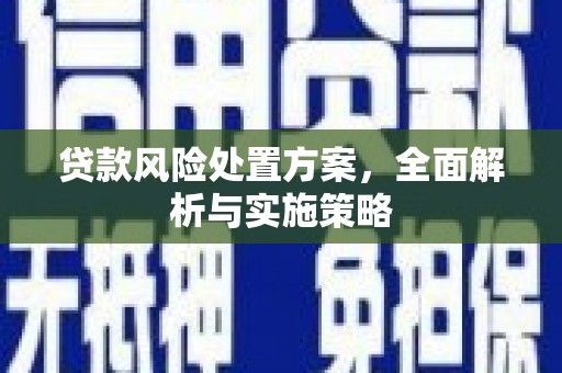 社头贷款风险处置方案，全面解析与实施策略